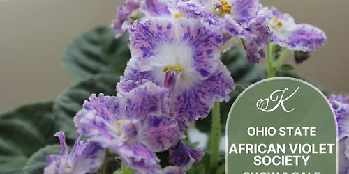 Ohio State African Violet Society Show & Sale