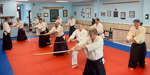 AAA Aikido Regional Seminar - Daniel Island, SC - Nov 2026