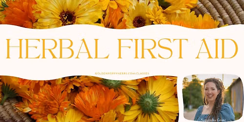 Herbal First Aid Workshop 
