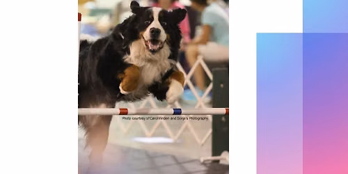 Tulsa Agility Club - UKC Agility Trials