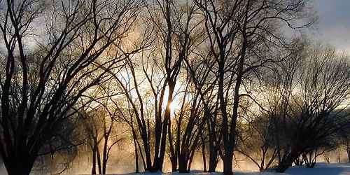 Celebrate the Winter Solstice Event