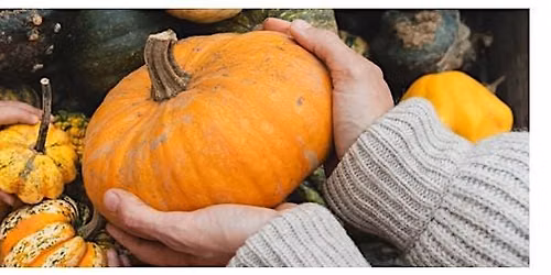 Grandparents\u2019 Day Harvest Festival