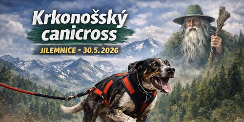 Krkono\u0161sk\u00fd canicross - Jilemnice 