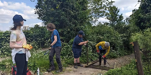 Habitat Day with The Conservation Volunteers