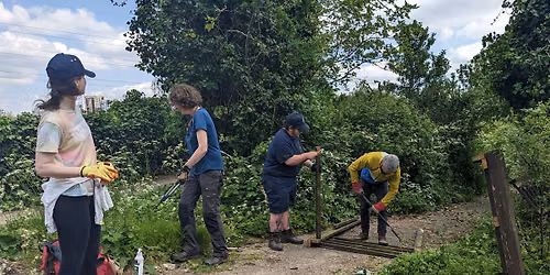 Habitat Day with The Conservation Volunteers