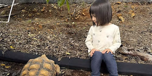 Montessori Playdate with AMI trained guide
