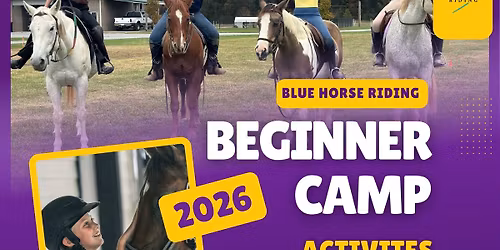 Blue Horse Riding Summer Camp