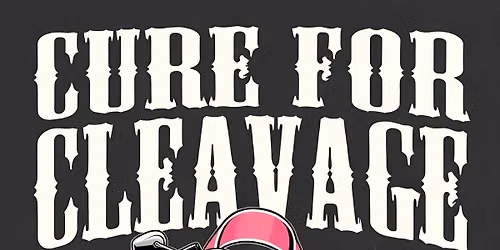 17th Annual Cure for Cleavage 