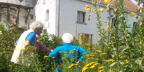 Jardin du Moulin d'Evere : visite guid\u00e9e