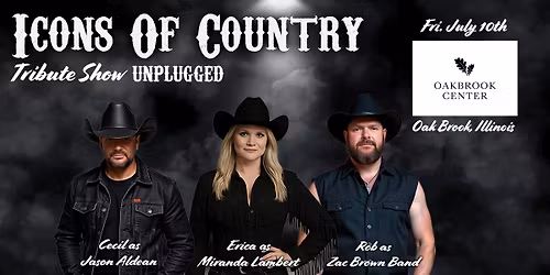 Unplugged tributes to Zac Brown Band - Miranda Lambert and Jason Aldean- LIVE AT OAK BROOK MALL 