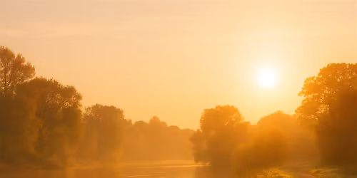 Reset & Rewild: A Mindful Walking Half Day Retreat