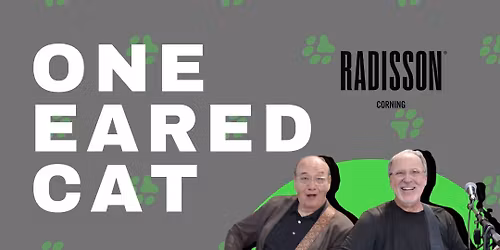 One Eared Cat @Radisson Hotel Corning