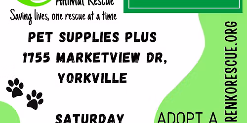 Renko Adoption Event @ Pet Supplies Plus Yorkville