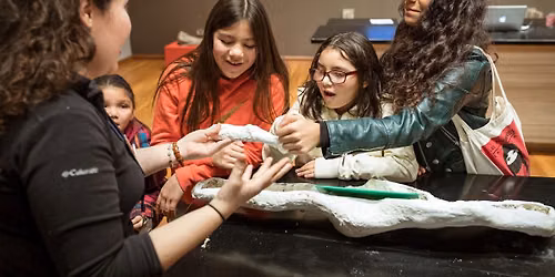 Meet a Scientist: fan-Tusk-tic Dicynodonts