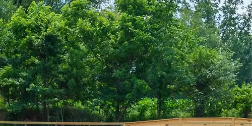 Phoenix on Killian Mountain Trail Series (PMT Sanctioned)