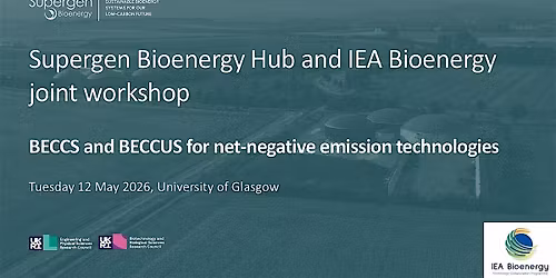 BECCS and BECCUS for net-negative emission technologies