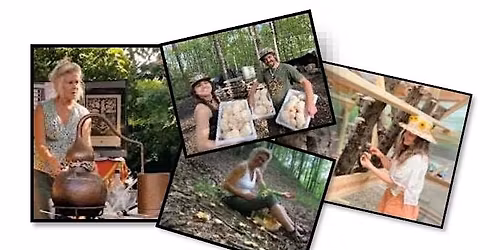 Fungi Fusion Forest Day