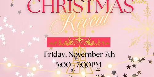 8th Annual Christmas Reveal & Anniversary Party