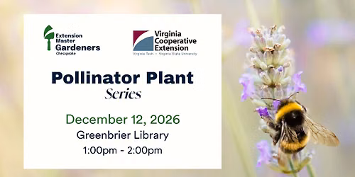 Pollinator Plant Series 2026