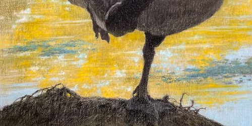 Artist Talk: Carl Oltvedt