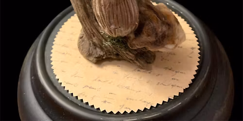 Needle Felting Mushroom Class