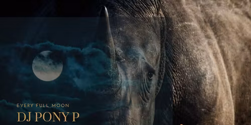 Full Moon Party at The Rhino