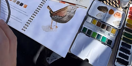 Watercolor Meet  Up + Paint