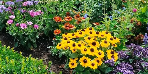 2026 CVGC Plant Sale