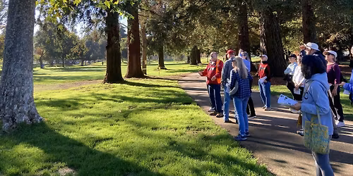 Arbor Day Tree Walk: Cuesta Park