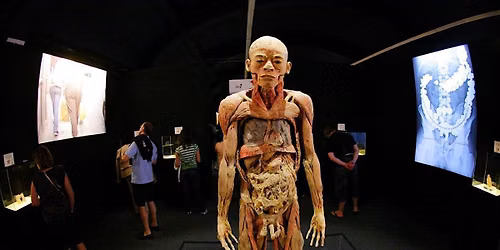 BodiesExhibition