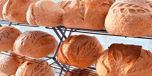 Pizza crust and WARM SOURDOUGH event