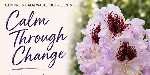 Calm Through Change