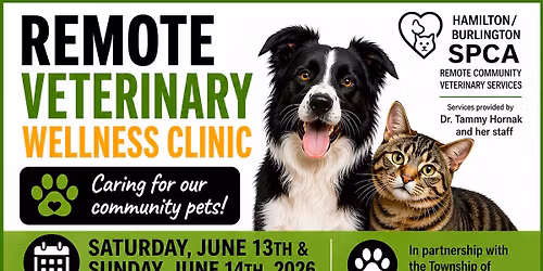 Veterinary Wellness Clinic 