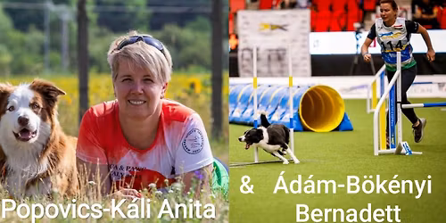 Fuss, tanulj, pr\u00f3b\u00e1ld \u00fajra...x2!