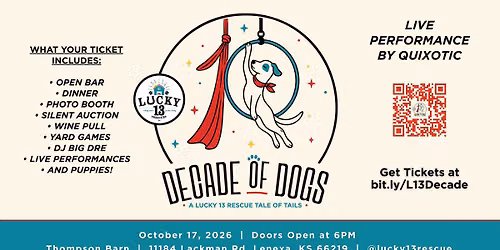 Decade of Dogs : A Lucky 13 Rescue Tale of Tails, Celebrating 10 Years of Saving Lives