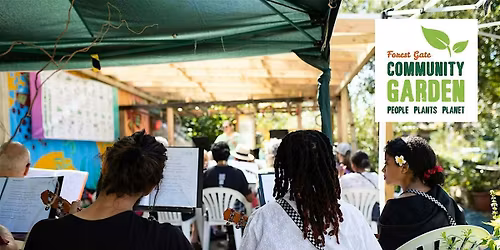 Beginning Ukulele Classes