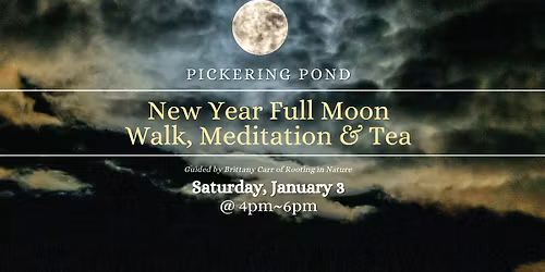 Wolf Moon Walk, Meditation & Tea