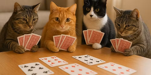 Kitty Cat Card Night!!!