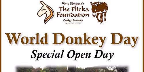 World Donkey Day