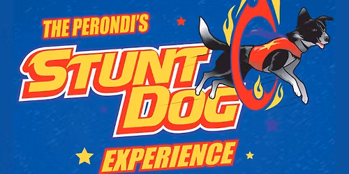 The Perondi's Stunt Dog Experience