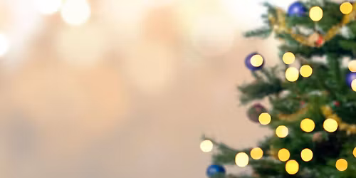 Stained Glass Gnome or Cardinal Workshop