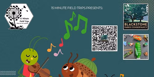 Insect Orchestra