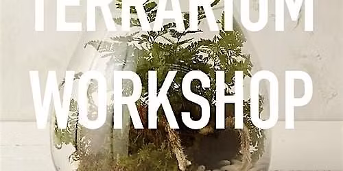 Terrarium Workshop