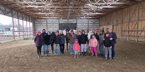 Introduction to Horses