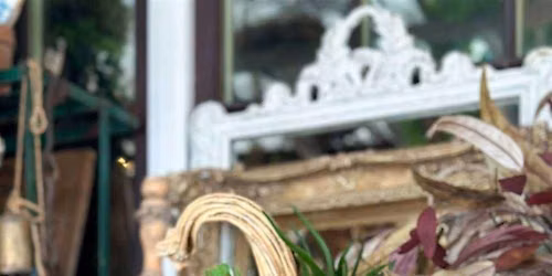 Pumpkin Perfection: A Succulent Workshop