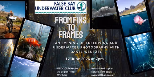 Freediving and underwater photography with Danel Wentzel 