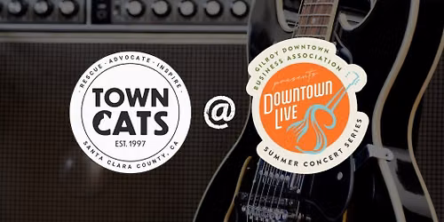 Downtown Live Music Series - Summer 2026