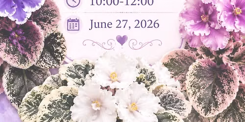 Violet Sale !