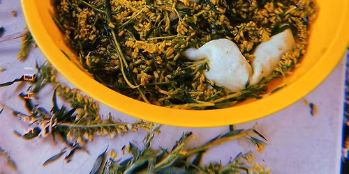 Things in Jars: Botanical Inks