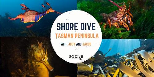 Shore Diving at the Tasman Peninsula - With Jacob and Jody